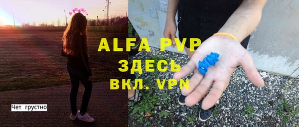 ГАЛЛЮЦИНОГЕННЫЕ ГРИБЫ Осинники
