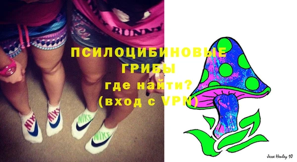 синтетический гашиш Алексин