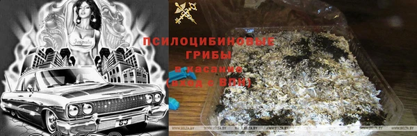 MESCALINE Алзамай