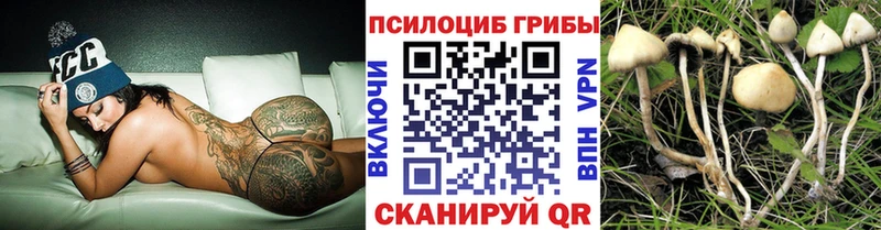 Галлюциногенные грибы MAGIC MUSHROOMS  hydra ссылки  Котельники 